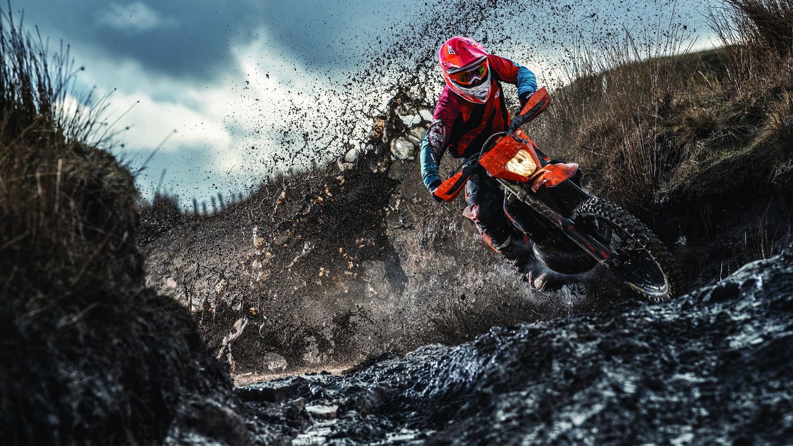 德国女子70公斤级柔道选手米里亚姆·布特克雷特获得银牌,法国柔道冠军泰德 里内