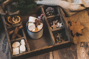 kaiyun官方网站-NBA赛季助攻王表现动态，nba本赛季助攻王